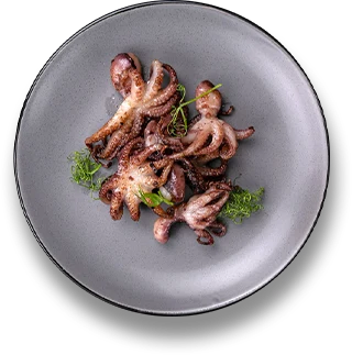 grilled octopus